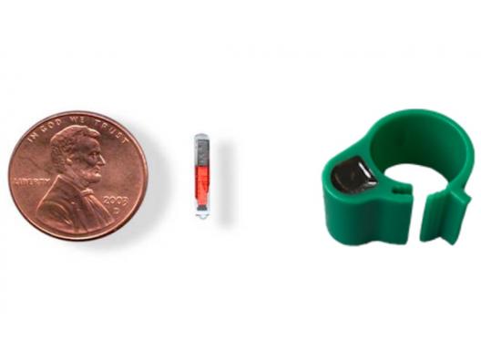 Integrierter RFID-Leser