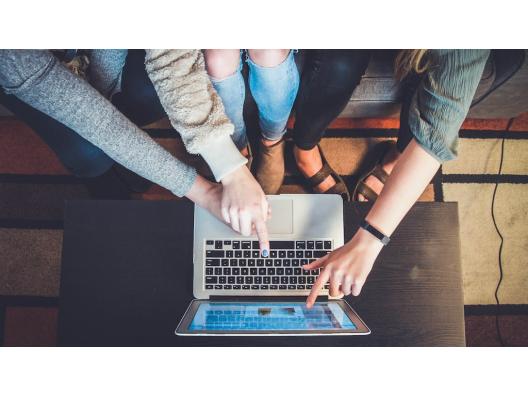 Get support for Anisca Bird